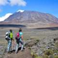 Mount Kilimanjaro Trekking Tours In Tanzania