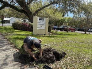 Miami, Farm/Garden, Local Kissimmee Irrigation Services &ndash; Save Time & Water