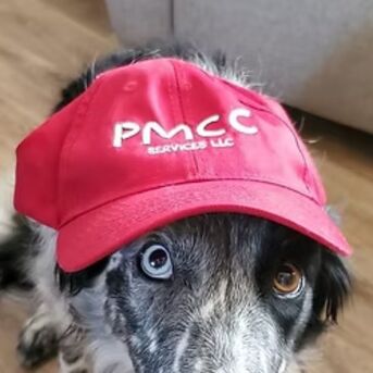 New York, Health, Dog Agility In NJ: Training Programs For Active & Competitive Dogs