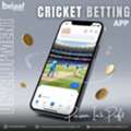 Expert Cricket Betting App Trusted  Development Company
