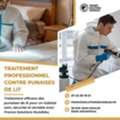 Intervention Nuisibles Rapide Et Professionnelle
