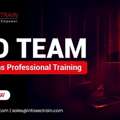 Advanced Red Team Online Course And Exam Training