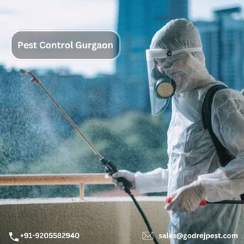 Gurgaon, Pest Control, Pest Control Service In Gurgaon