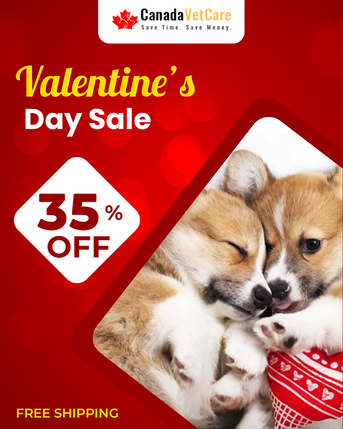 New York, Pet Supplies, USD 10,  Valentine Sale Is Live &ndash; Enjoy 35% OFF On All Pet Care Products At CanadaVetCare