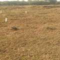 INR 1600000,  1000 Sq. Feet,  DTCP Approved Plots For Sale At Sriperumbudur In Thathanur