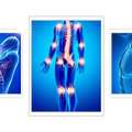 Chiropractic Healthcare Center For Pain Relief & Wellness