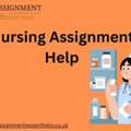 Online Nursing Assignment Help For Accurate And Timely Submissions