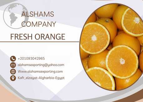 Moscow, Farm & Garden, FRESH ORANGE