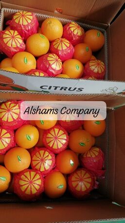 Moscow, Farm & Garden, FRESH ORANGE