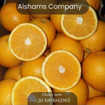 Moscow, Farm & Garden, FRESH ORANGE