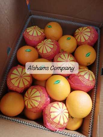 Moscow, Farm & Garden, FRESH ORANGE