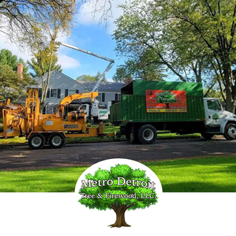 New York, Business, Metro Tree & Firewood