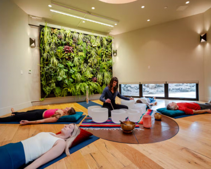 Sydney, Business, Yin And Sound Meditation Classes &ndash; Newport