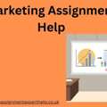 Marketing Assignment Help: Professional Academic Support For Business Students