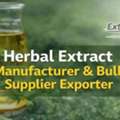 Herbal Extract Manufacturer & Bulk Supplier Exporter