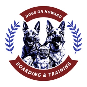 New York, Business, Dogs On Howard