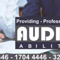 Providing Professional Audit' Ability