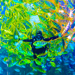 Kolkata, Travel, Dubai Package Tour From Kolkata