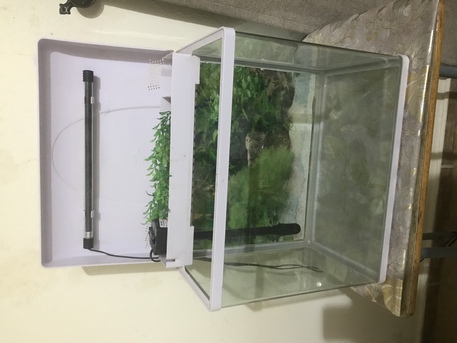East Riffa, Pet Supplies, BHD 20,  Fish Tank