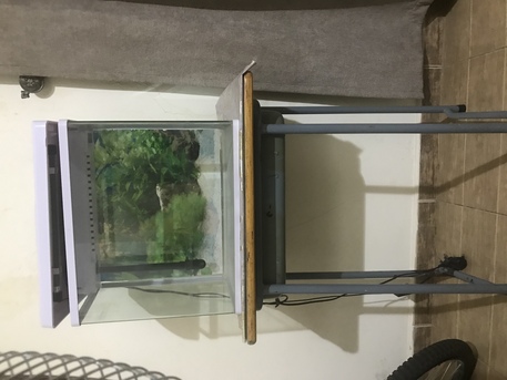 East Riffa, Pet Supplies, BHD 20,  Fish Tank