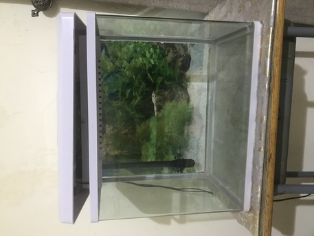 East Riffa, Pet Supplies, BHD 20,  Fish Tank