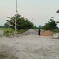 INR 14999,  280 Sq. Yard,  Contact Sirisha Paladugu For Kalwakole Plot Details. 6305534817*