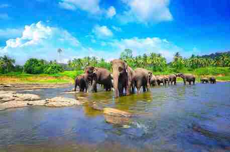 London, Travel, Discover Sri Lanka Holidays Packages: Emerald Landscapes, Ancient Heritage And Coastal Ser