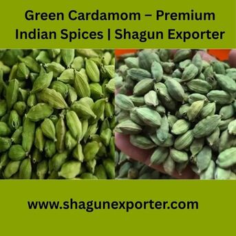 New York, Business, Green Cardamom &ndash; Premium Indian Spices | Shagun Exporter