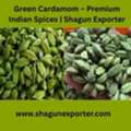 Green Cardamom &ndash; Premium Indian Spices | Shagun Exporter