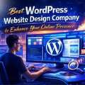 Boost Your Brand With The Best WordPress Website Design Services By DDMS