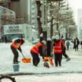 Snow Removal Team