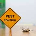 Mosquito Control Service In Oman