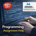 Expert Support For Coding And Software Development Tasks