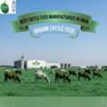 Best Cattle Feed Manufacturers In India - Brahmi Cattle Feed