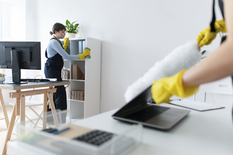 Houston, Cleaning, Expert Home & Emergency Cleaning In Houston &ndash; Southwest Maids