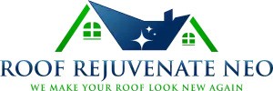New York, Business, Roof Maintenance Mentor OH - Roof Rejuvenate NEO