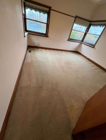 Sydney, Cleaning, Effective Flea Treatment & Carpet Cleaning Service