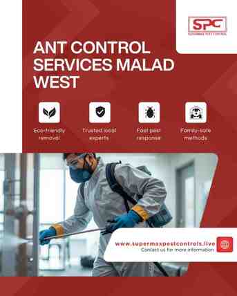 Mumbai, Pest Control, Best Ant Control Services In Malad West For Homes & Offices