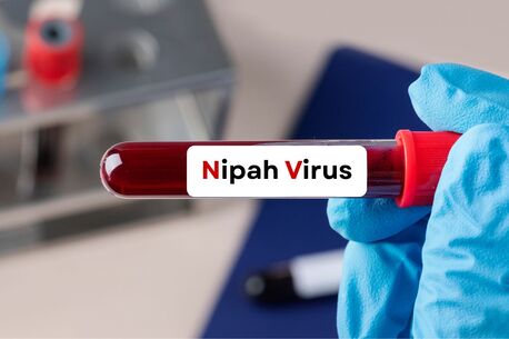 Mumbai, Health, Nipah Virus Explained: Causes, Symptom And Prevention