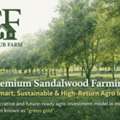 INR 5445000,  1210 Sq. Yard,  Premium Sandalwood Farming: How Premium Sandalwood Farming In Brijghat With The Club Farm