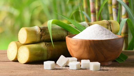 Mumbai, Business, Top Sugar Companies In India &ndash; Sulphur Free