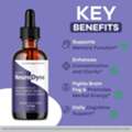 NeuroDyne Review 2026 &ndash; Boost Focus, Memory & Mental Clarity