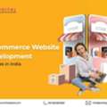 Professional E-Commerce Website Development Services In India.