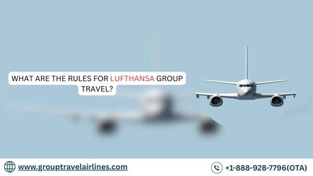 New York, Travel, What Are The Rules For Lufthansa Group Travel?