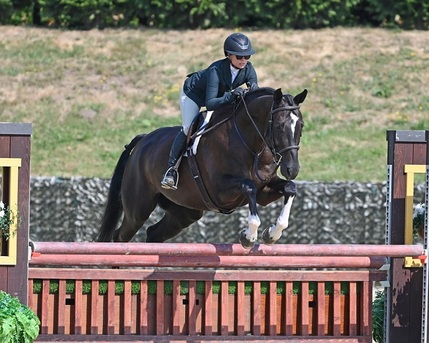 Vancouver, Event Planning, Pony Rides Vancouver &ndash; Fun, Safe & Memorable Kids&rsquo; Adventures!