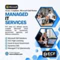ECF Data LLC &ndash; Trusted Microsoft Cloud & GCC High Experts For Secure Business Growth