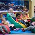 Trusted Daycare Fort Greene Brooklyn For Little Learners