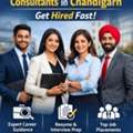 Professional Job Consultants In Chandigarh &ndash; Get Hired Fast