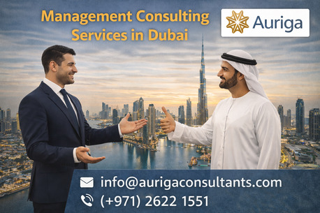 Abu Dhabi, Business, Professional Management Consulting Services In Dubai