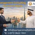 Professional Management Consulting Services In Dubai